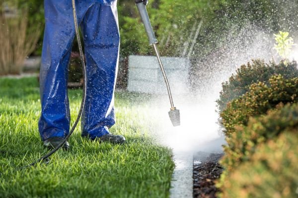 Cost of Curb Cleaning in San Jose