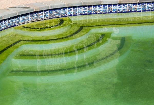 Cost of Pool Deck Algae Removal in San Jose