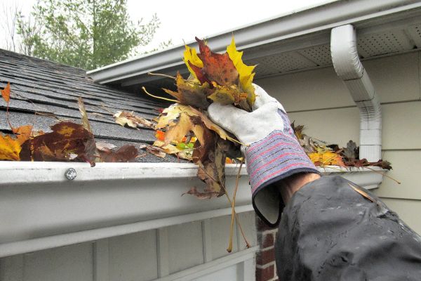 Cost of Eaves Cleaning in San Jose