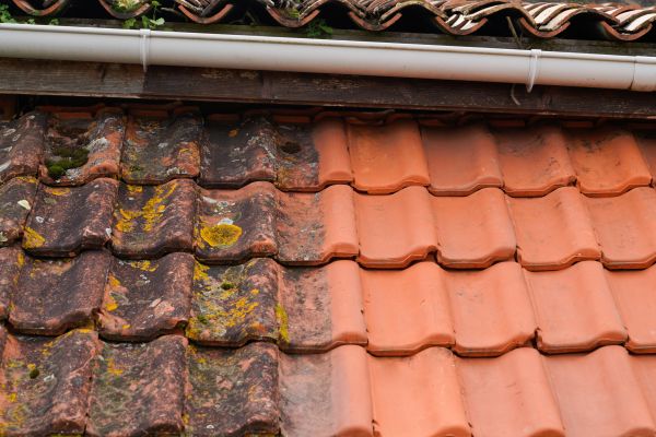 Industrial Roof Cleaning in San Jose